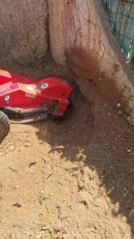 Destruction de la souche d'un arbre avec une rogneuse à Hyères