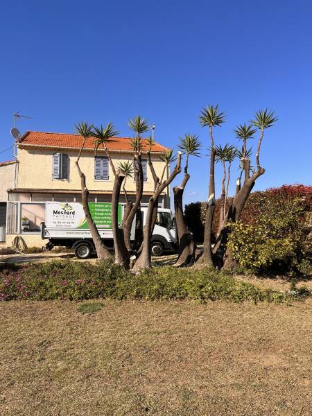 Jardinier paysagiste Var entretien aménagement extérieur